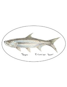 Pescador On The Fly Tarpon Decal in Tarpon